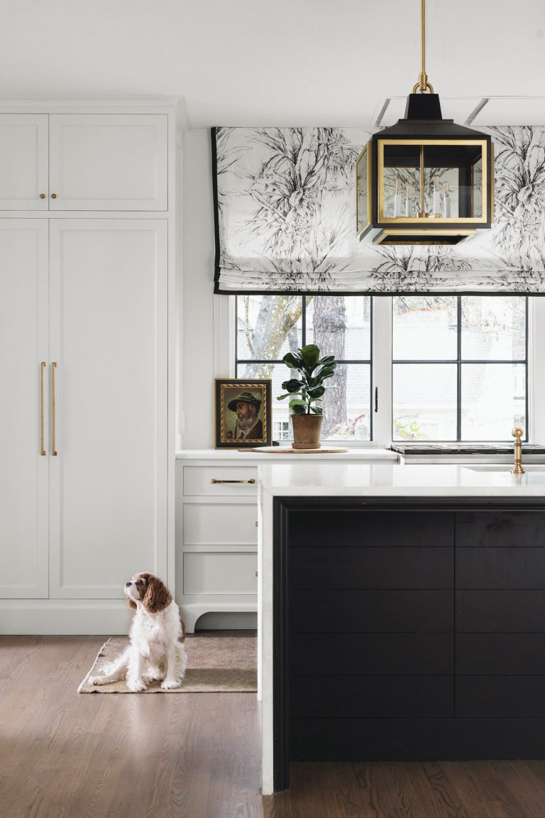 A small dog sits on a rug in a modern kitchen with white cabinetry, gold handles, a black island, wood floor, and a large window with a patterned shade. A potted plant, framed portrait, and gold light fixture add decorative touches.